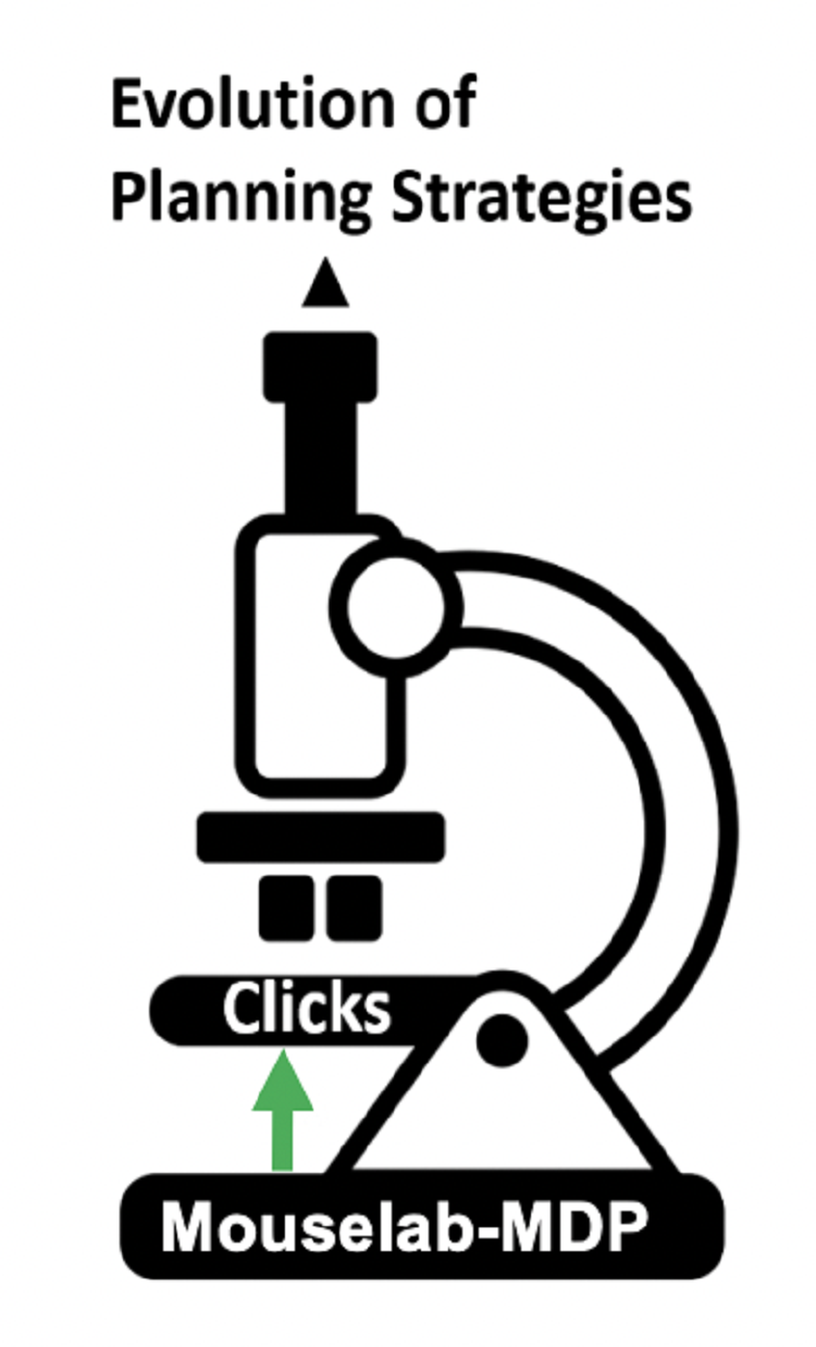 Measuring People S Planning Strategies The Rational Altruism Lab